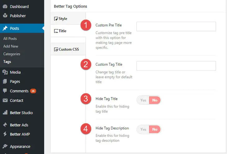 Publisher exclusive options for creating tag - page2