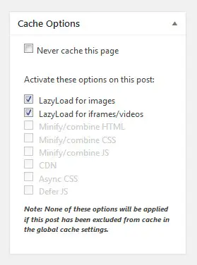 single post cache options